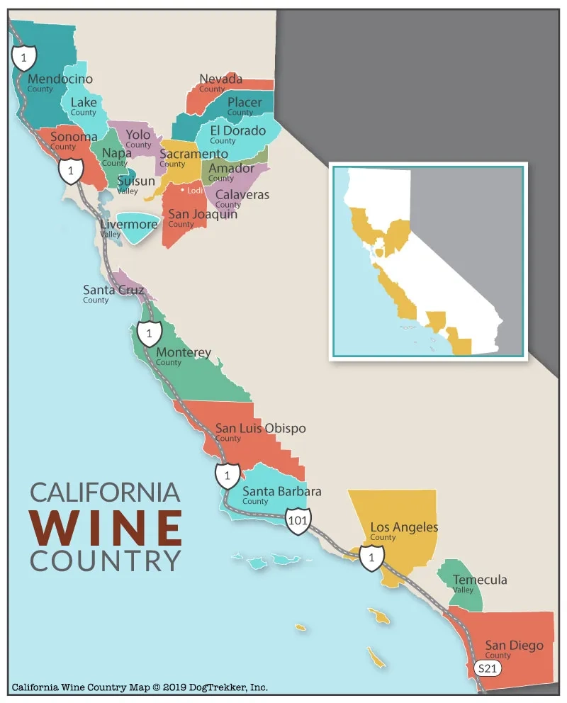 Best California Wine Regions Where To Buy Best Wine Grapes