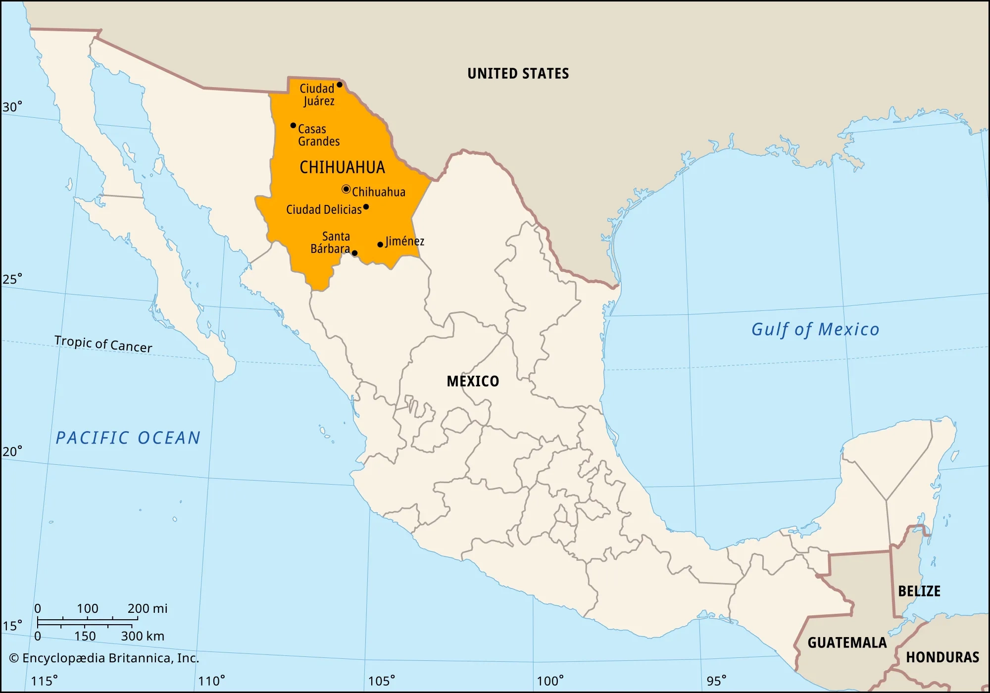 Chihuahua Culture History Facts Britannica