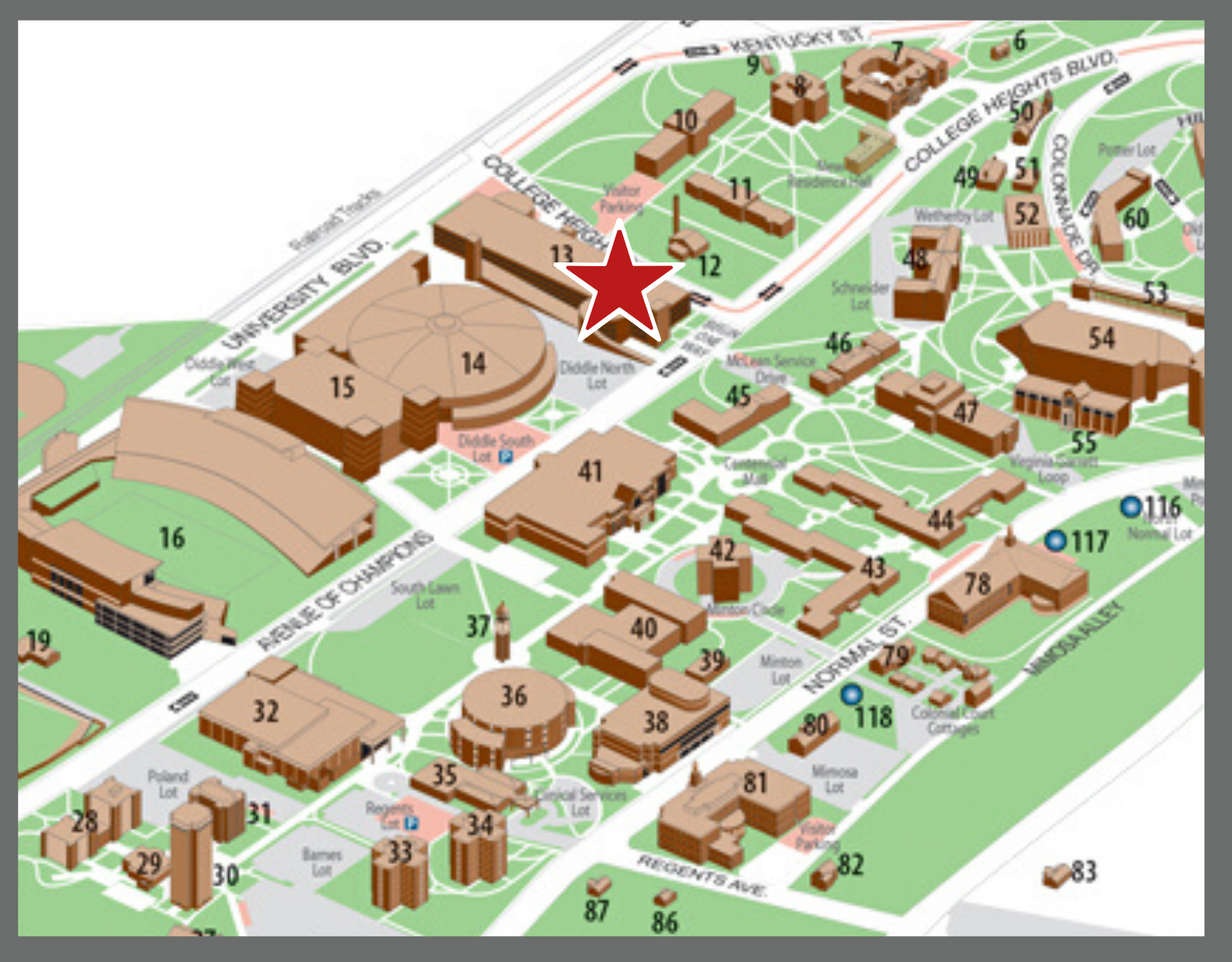 Contact Us Western Kentucky University