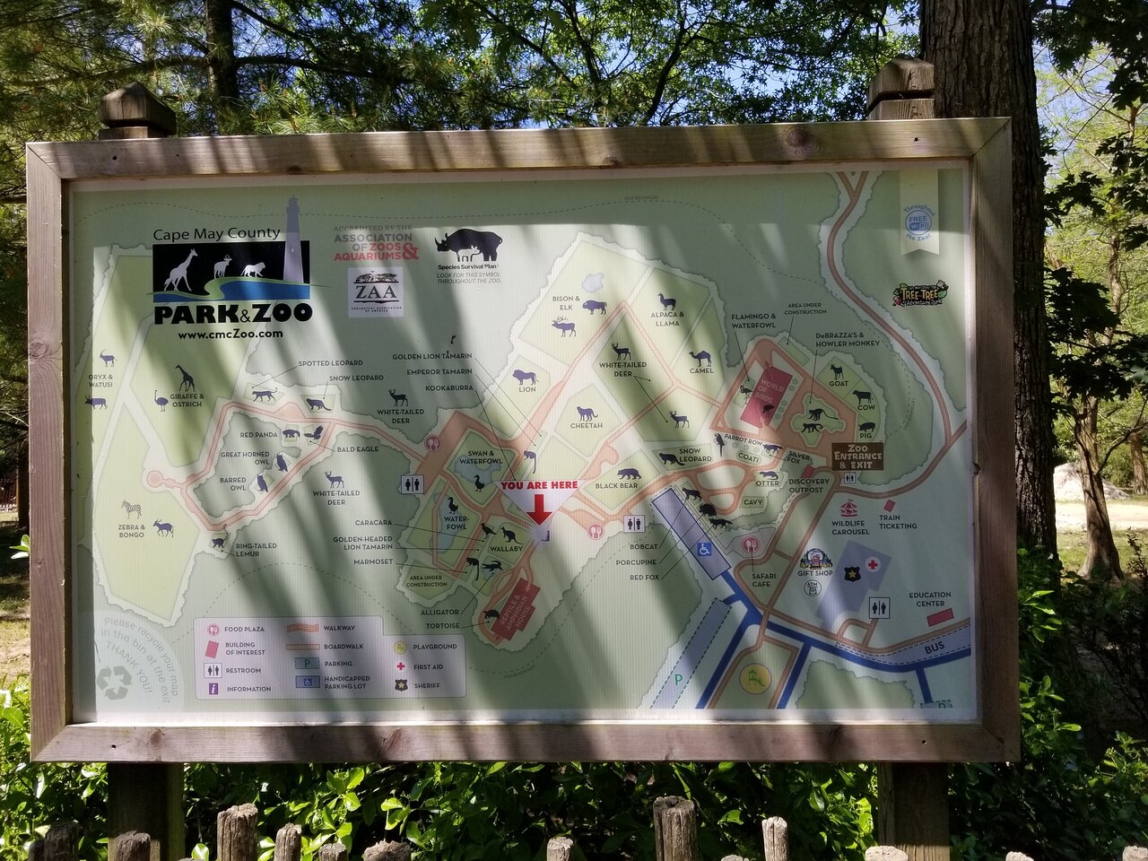 Funny Speed Limit Sign It Works Everyone Drove Carefully Picture Of Cape May County Park Zoo Cape May Court House Tripadvisor Funny Speed Limit Sign It Works Everyone Drove Carefully Picture Of Cape May County Park Zoo Cape May Court House Tripadvisor