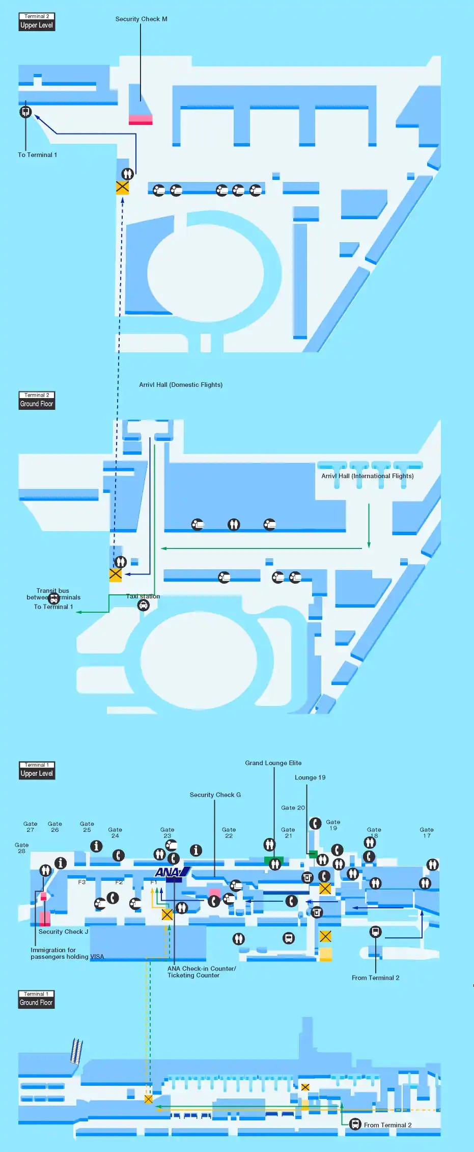 Guide For Facilities In Mexico City International AirportAirport Guide International Flights ANA