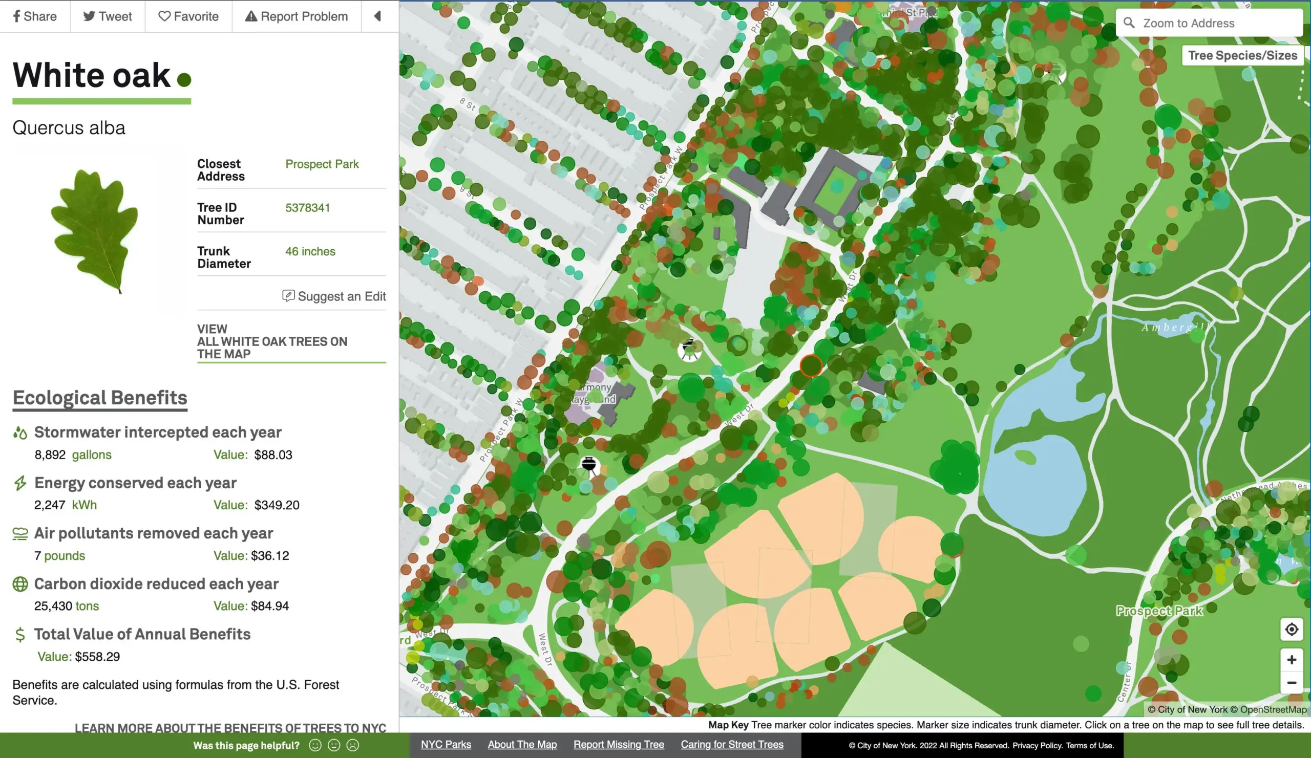 Mapping New York City s Trees Now With More Trees Bloomberg