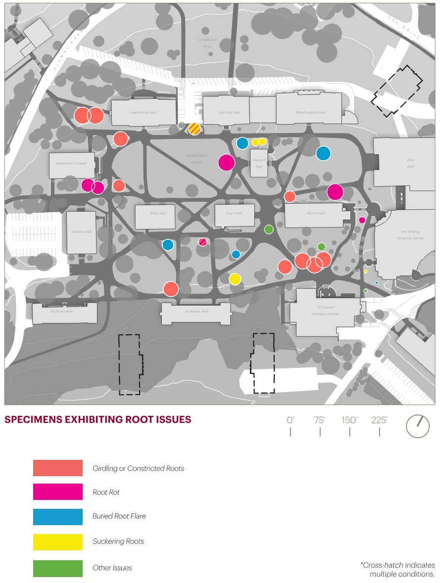 Michael Van Valkenburgh Associates Inc Colgate University Michael Van Valkenburgh Associates Inc Colgate University