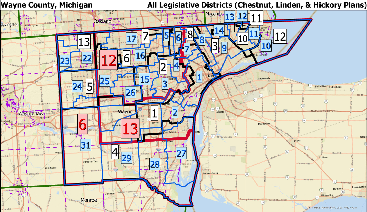 michigan wayne county map