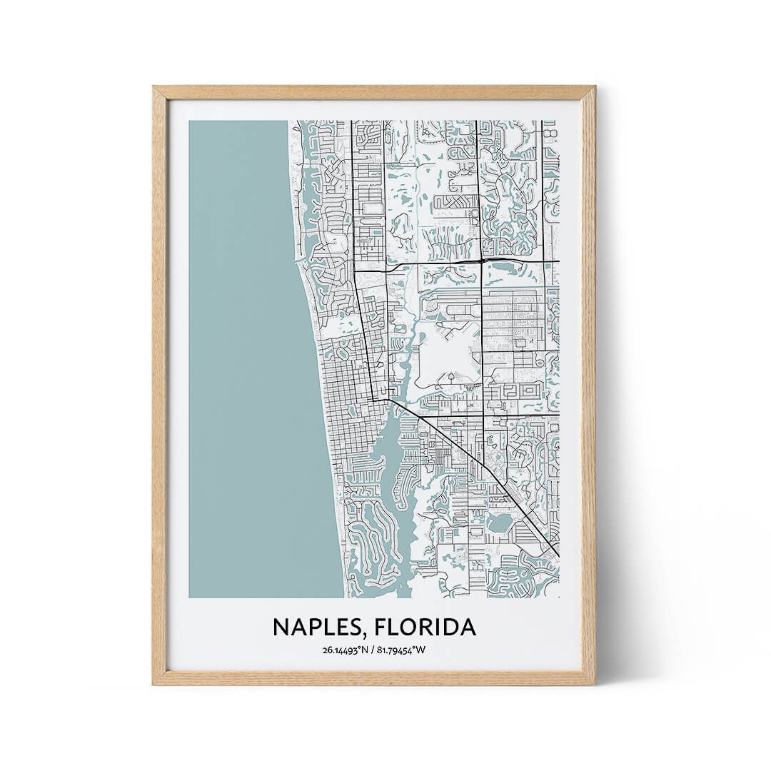 Naples Florida Map Poster Your City Map Art Positive Prints