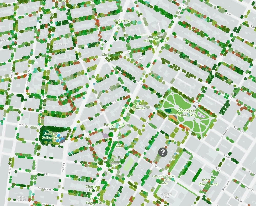 New York City Street Tree Map