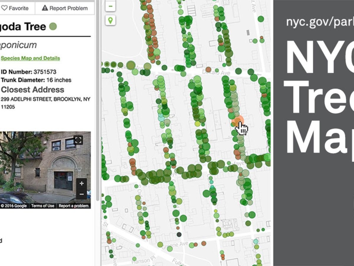NYC Tree Map
