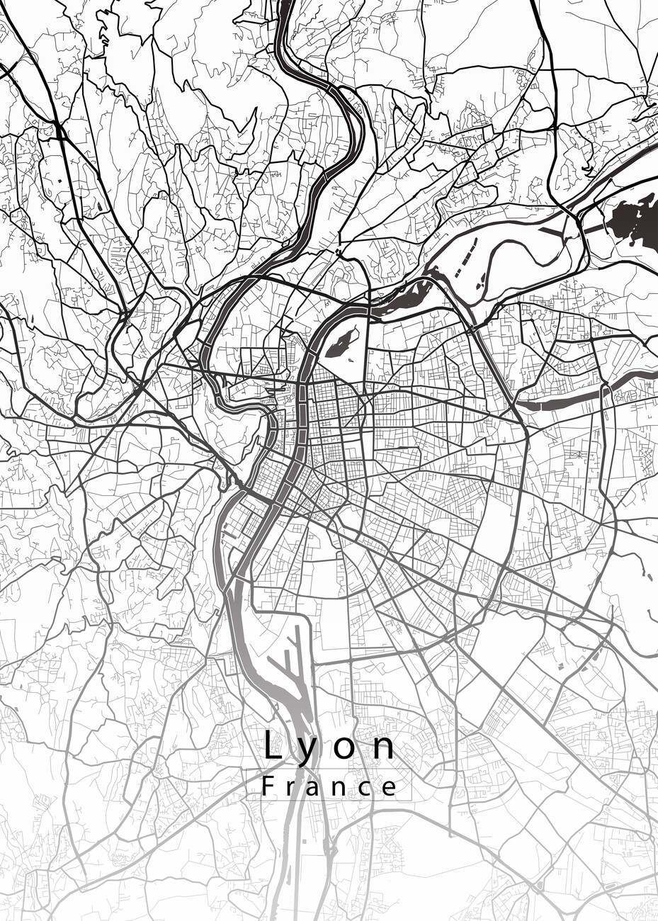 Poster Lyon France City Map Wall Art 3 1 FREE Abposters