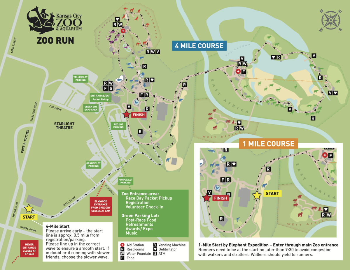 Race Information
