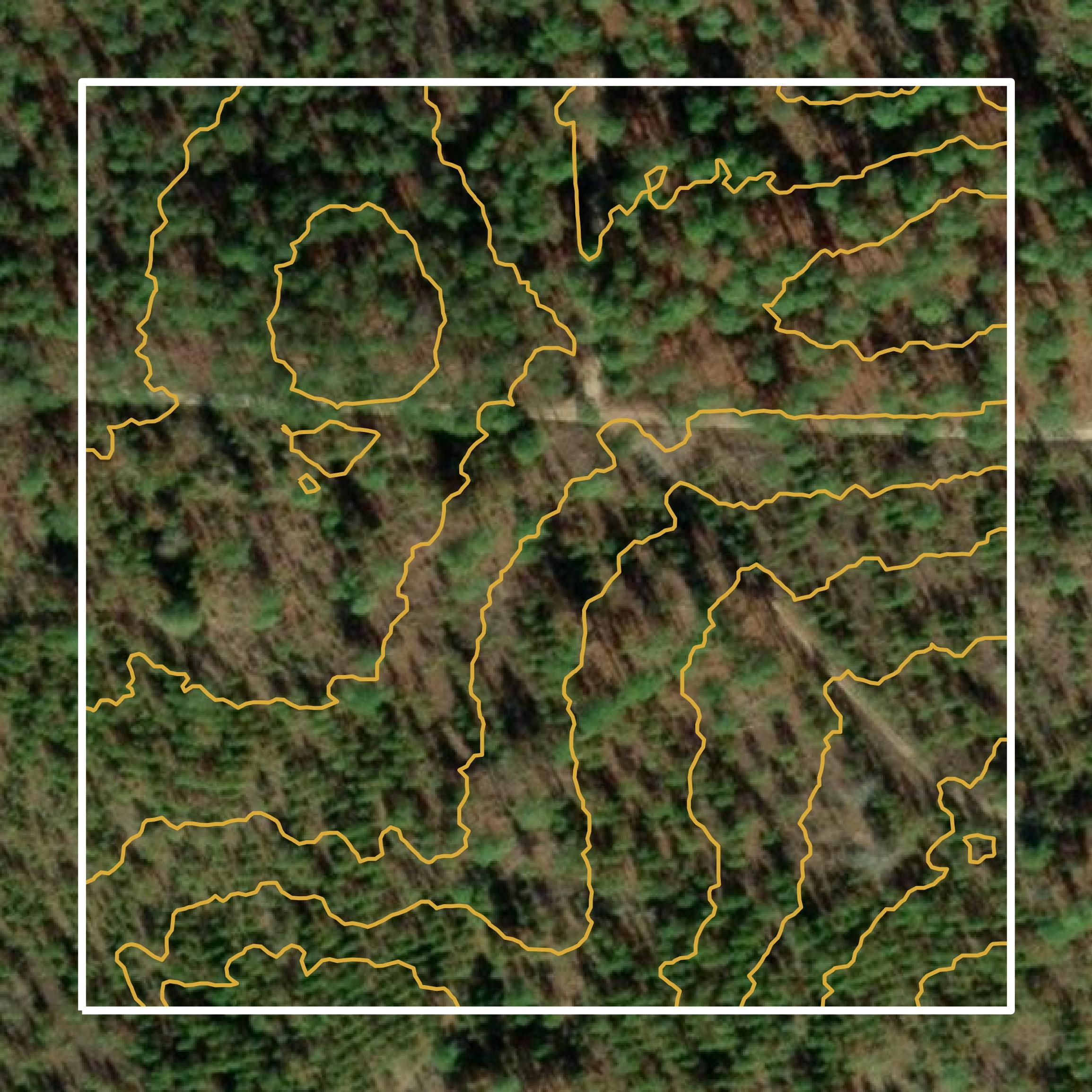 Richmond County GIS Data For CAD