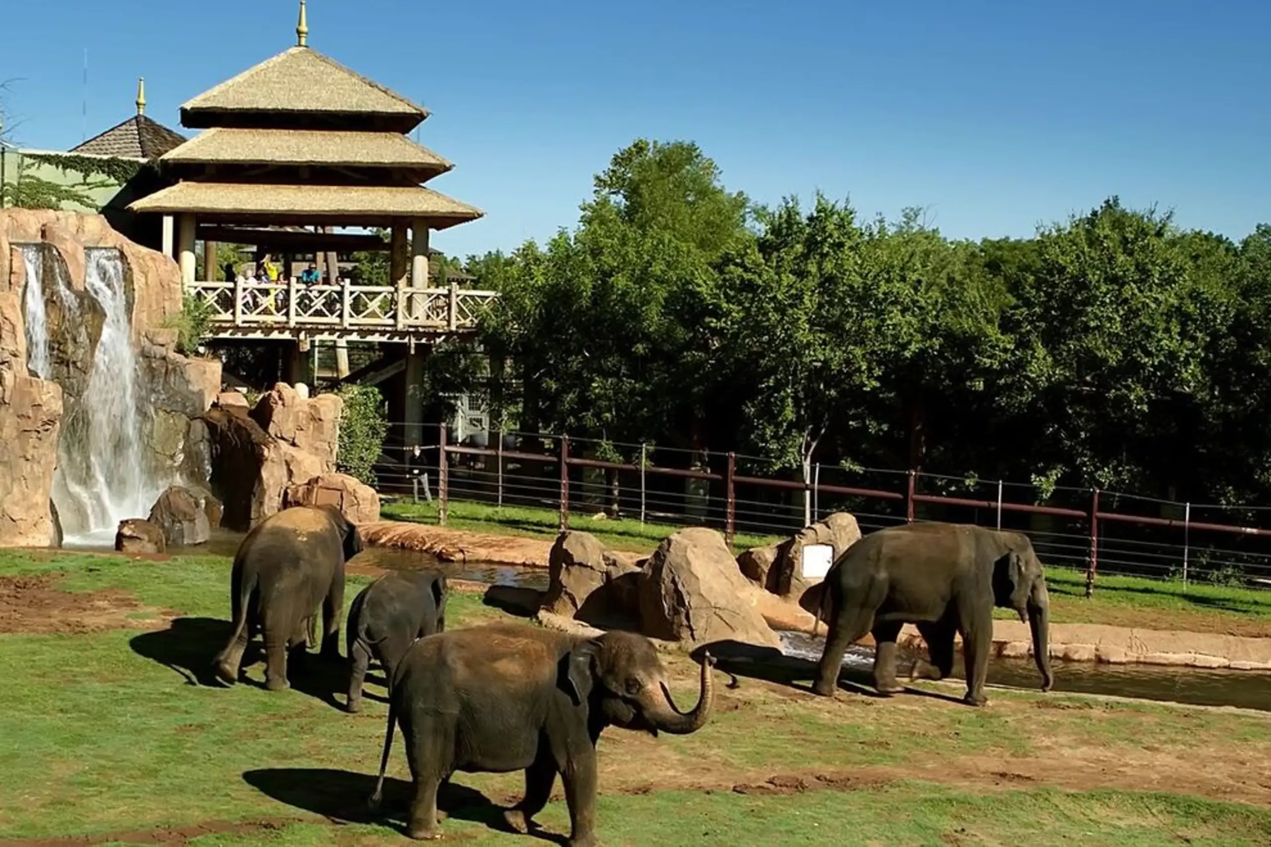 Sanctuary Asia At Oklahoma City Zoo